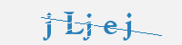 보안문자